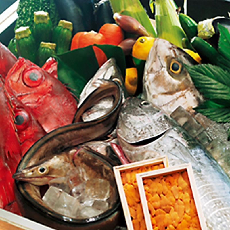 熊本 馬刺し 安坐