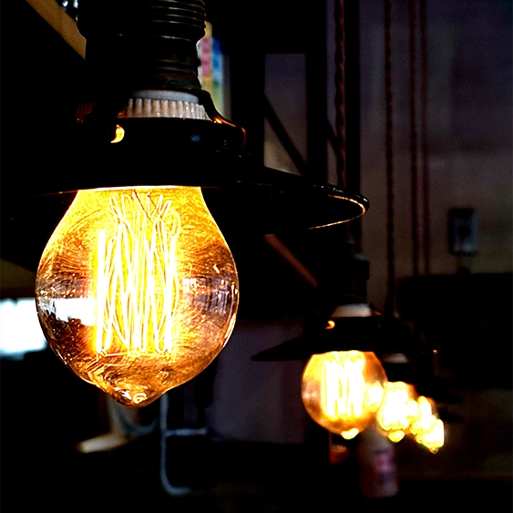 熊本 熊本駅 焼鳥 バードマン 炭火焼鳥