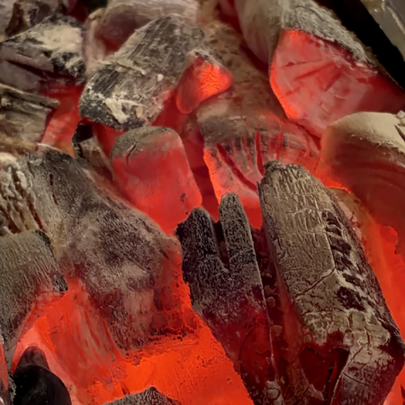 熊本 焼鳥 バードマン 炭火焼鳥